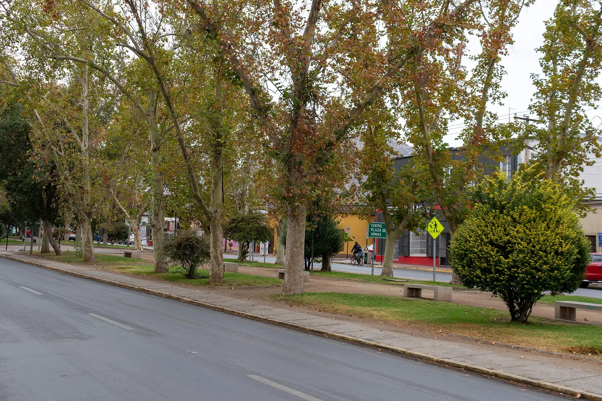 Avenida Argentina arbolada en Los Andes