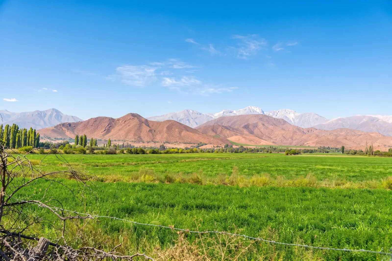 Terreno agrícola – Fundo El Patagual