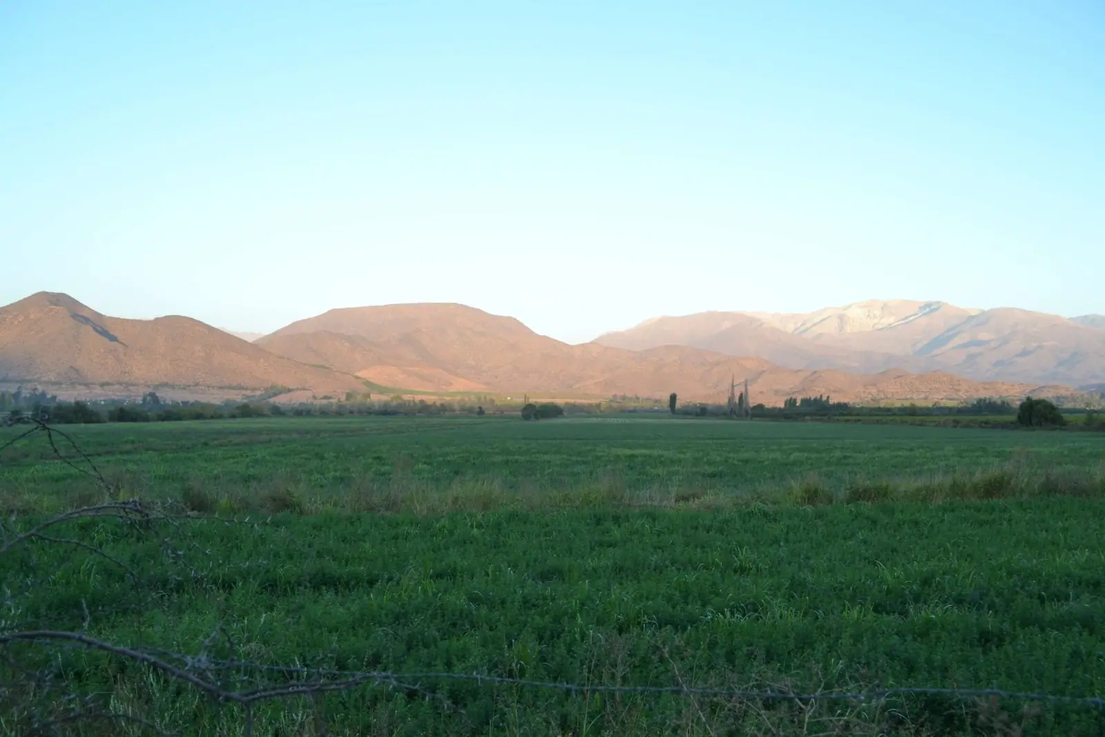 Terreno agrícola – Fundo El Patagual, fotografía 2